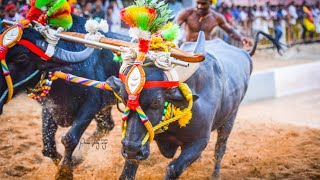 #ಕಂಬಳ ಹಿರಿಯ ಹಗ್ಗ ಸೆಮಿಫೈನಲ್|ನಂದಳಿಕೆ ಶ್ರೀಕಾಂತ್ ಭಟ್ 🆚ಕಾರ್ಕಳ ಜೀವನ್ ದಾಸ್ ಅಡ್ಯಂತಾಯ | ಮುಕೇಶ್ ಅಭಿಮಾನಿಗಳ ಹರ್ಷ