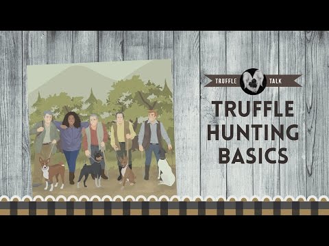 How to Find Truffles in the Woods How to Find Truffles in the Woods