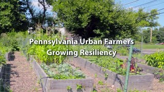 Pennsylvania Urban Farmers: Growing Resiliency