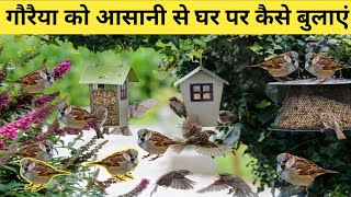 गौरैया को घर पर आसानी से कैसे बुलाएं/ how to attract sparrow in your house