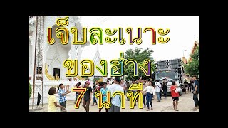 เจ็บละเนาะ | ของฮ่าง | 7 นาที รถแห่ทัศน์เจริญซาวด์ แสดงสดใหม่ล่าสุด