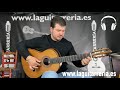 GUITARRA FLAMENCA FELIPE DÍAZ ÉBANO EXÓTICO