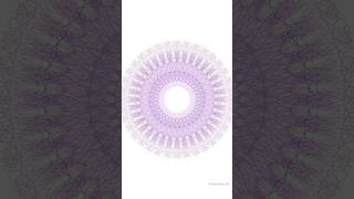 Lavender : Symmetry Art in Motion