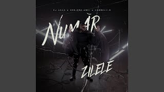 Număr zilele (Extended)