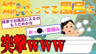 【2ch 面白い】安価したら実の姉と風呂に入ってしまったが・・・【エロ】