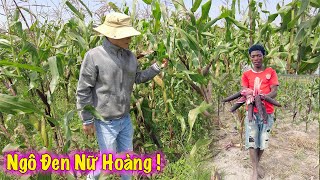 Linh Philip || Sau Bao Ngày Chờ Đợi Thành Quả Nay Đã Đến Ngày Thu Hoạch !!!