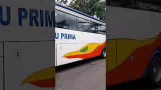 Legenda pantura tampil#busakap #busmania #lajuprima #fyp #busmaniacomunity #bus #busmaniaindonesia