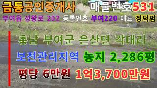 531충남 부여군 은산면  산골마을 다랑이 논 부여땅 부여부동산