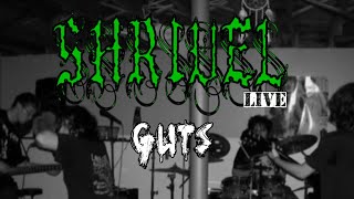 Shrivel - Guts (live 11-15-24)