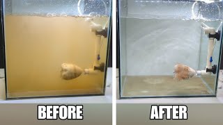 DIY Fish Tank Filter / How to make aquarium filter at home
