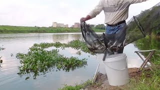 西南风，钓友们选择早退，其实调整一下饵料状态，一样可以连竿！