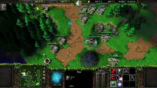 WARCRAFT 3 - WARDEN AND MASS MOONWELLS vs Computer Insane