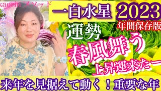 盛運気を見逃すな！来年を見据えて動く！【一白水星2023年の運勢】心の豊かさと現実を豊かに創造できる九星気学の運命好転術の奥義とスピリチュアル『真理』の視点から真の開運方法をお伝えします♪