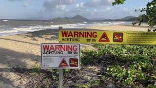 Dogs attacked by crocodile at Palm Cove in Queensland