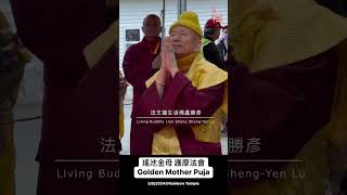 【清净系列】瑤池金母 護摩法會 Golden Mother Puja 瑤池金母是所有真佛宗弟子天上的母親 ！  @MeetTrueBuddHa@MeetTrueBuddHa