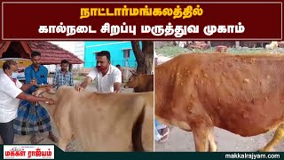 நாட்டார்மங்கலத்தில் கால்நடை சிறப்பு மருத்துவ முகாம் | Perambalur | Makkal Rajyam