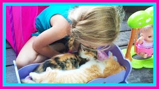 Baby Kitten Sleepover on The Pirate Ship Playground Park for Kids W/ Play Doh Girl & Fun Factory