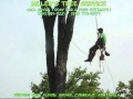 Miller's Tree Service - Property Maintenance