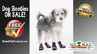 suppliers of dog products Top Pet Supplies suppliers of dog products