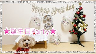 ✰誕生日Party✰　ハッピーバースデー Happy Birthday ３歳 パーティー ケーキ クリスマス 【トイ・プードル / ポメラニアン Toypoodle / Pomeranian】