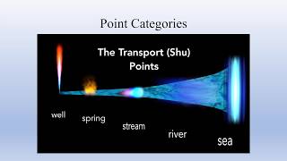 Point Categories