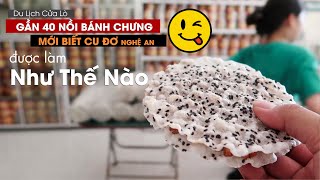 Kinh Nghiệm Mua Hải Sản Cửa Lò - Du lịch cửa Lò Nghệ An