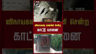 விநாயகரை வணங்கி சென்ற காட்டு யானை | Elephant | Vinayagar | Newstamil24x7