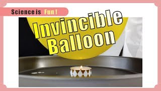 Science experiment about the Invincible Balloon at home.