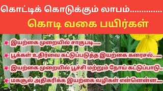 கொடி வகை காய்கறி பயிர்கள் சாகுபடி.....