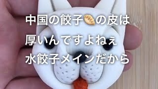 餃子の新しい包み方や生地で作れるものいろいろ編🥟