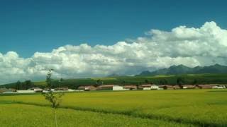 超美麗青海湖油菜花田 (2016絲綢之路) - 中國西寧