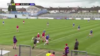 Amazing Austin Gleeson point for Mount Sion vs Passage in the Waterford SHC