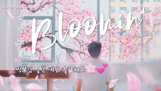 [ 繁中字歌詞 MV ] Bloomin' 朴寶劍 日本出道主打歌 パクボゴム Bloomin' Park Bogum Debut in Japan 박보검 일본 데뷔 (가수) 1080p full