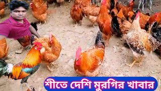 শীতে দেশি মুরগির খাবার।। শীতে দেশি মুরগির খামার।। Desi Murgi Palon