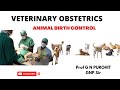 Animal Birth Control I Veterinary Gynecology I Veterinary Obstetrics I GNP Sir I VGO I Bitch I OHT