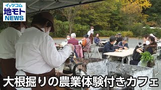 大根掘りの農業体験付きカフェ【地モトNEWS】2022/11/11放送