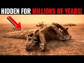 These RARE Archaeological Discoveries Changed Everything We Thought We Knew!