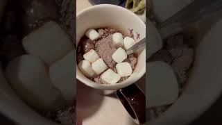 This Hot Chocolate with Marshmallows Is vey Yummy! #hotchocolate #marshmallow #trending #shortvideo