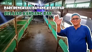 Dari Bengkulu belajar kandang RAK ke Blitar