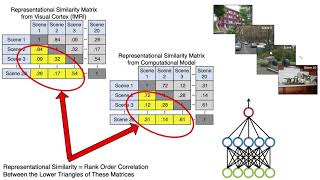 RSA Overview