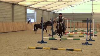 pony jumping without reins, Pony Springen ohne Zügel, poni saltos sin riendas, skoki bez wodzy,