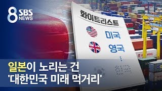 일본이 노리는 건 '대한민국 미래 먹거리' / SBS