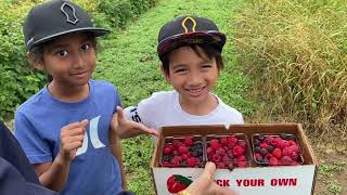 Jom petik buah Raspberry di Hoen's Farm, Swanton, OH!