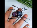 Crystal spider beaded brooch