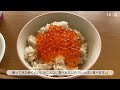 【vlog】地元を満喫した週末3日間🏠｜美味しいものいっぱい食べました🍥｜試験勉強✏️｜日常vlog｜vol.39