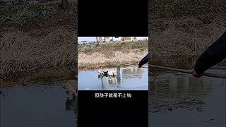 萌娃躺在冰面上玩耍，大人着急没办法#这是高手#shorts