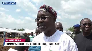 Ondo Govt Moves To Boost Cocoa Production