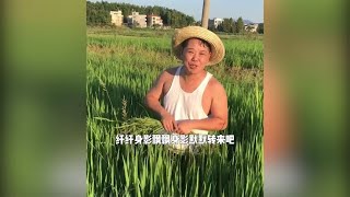 农田里的除草高手翻唱一首李克勤的《护花使者》