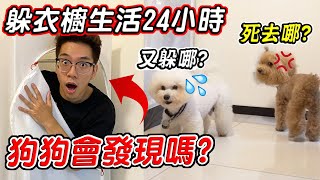 差點暈倒!? 主人挑戰躲在衣櫥生活24小時 狗狗最後會找到嗎？『終極躲貓貓』【希露弟弟啃雞腿】比熊 貴賓 Bichon Frise Poodle