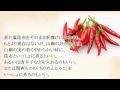 【睡眠導入動画】文学朗読 てんぷらの茶漬け 塩昆布の茶漬け 北大路魯山人の著書から